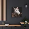 Kitten with Blue Eyes Framed Canvas