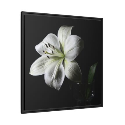 White Lily Framed Canvas