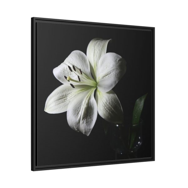 White Lily Framed Canvas