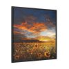 Sunrise View Framed Canvas