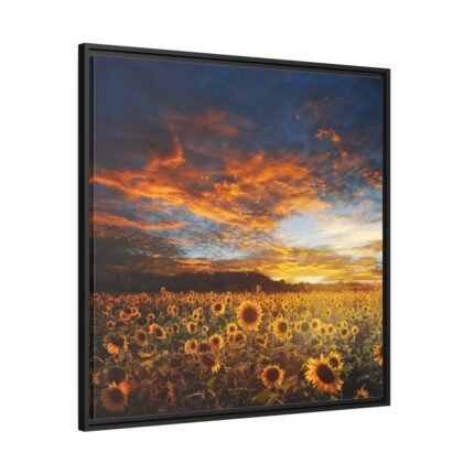 Sunrise View Framed Canvas