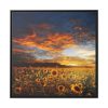 Sunrise View Framed Canvas