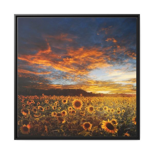 Sunrise View Framed Canvas