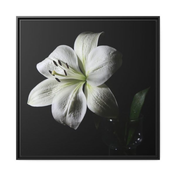 White Lily Framed Canvas