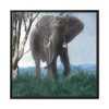 88302-71.jpg Art Painting Elephant Nature Framed Canvas