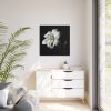 White Lily Framed Canvas