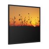 88302-85.jpg Sunset Framed Canvas