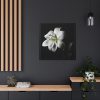 White Lily Framed Canvas