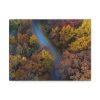 91624-25.jpg Forest in Autumn Colors Standard Canvas
