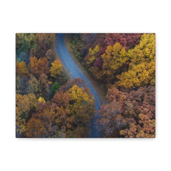 91624-25.jpg Forest in Autumn Colors Standard Canvas