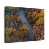 91624-26.jpg Forest in Autumn Colors Standard Canvas