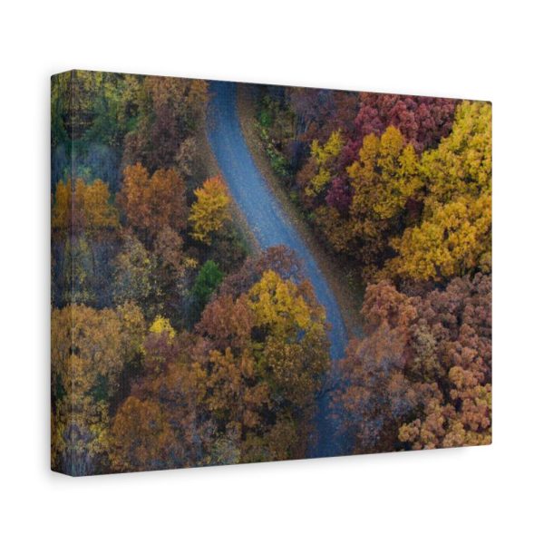 91624-26.jpg Forest in Autumn Colors Standard Canvas