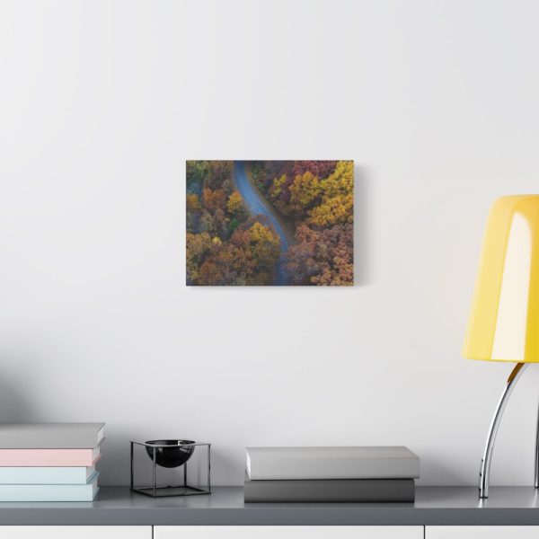 91624-27.jpg Forest in Autumn Colors Standard Canvas