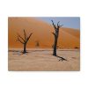 91624-35.jpg Desolate Trees in the Sandy Desert of Deadvlei Hiking Trail Standard Canvas