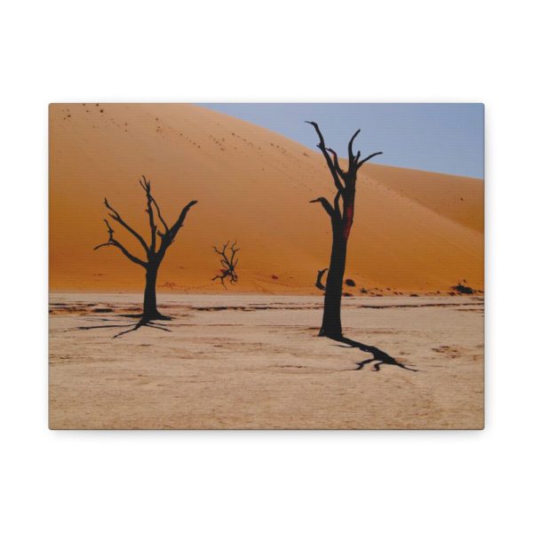 91624-35.jpg Desolate Trees in the Sandy Desert of Deadvlei Hiking Trail Standard Canvas