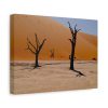 91624-36.jpg Desolate Trees in the Sandy Desert of Deadvlei Hiking Trail Standard Canvas
