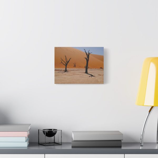 91624-37.jpg Desolate Trees in the Sandy Desert of Deadvlei Hiking Trail Standard Canvas