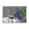 Colorful Butterfly on Flower Standard Canvas