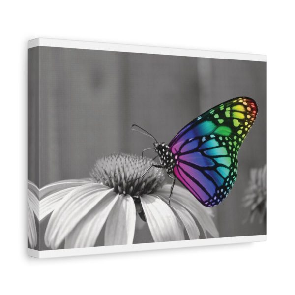 Colorful Butterfly on Flower Standard Canvas