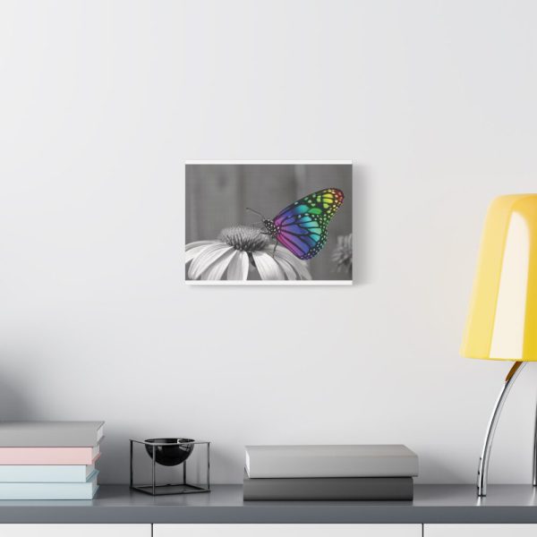 Colorful Butterfly on Flower Standard Canvas