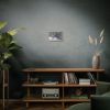 Colorful Butterfly on Flower Standard Canvas