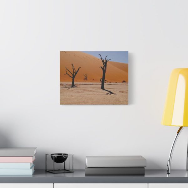 91625-2.jpg Desolate Trees in the Sandy Desert of Deadvlei Hiking Trail Standard Canvas