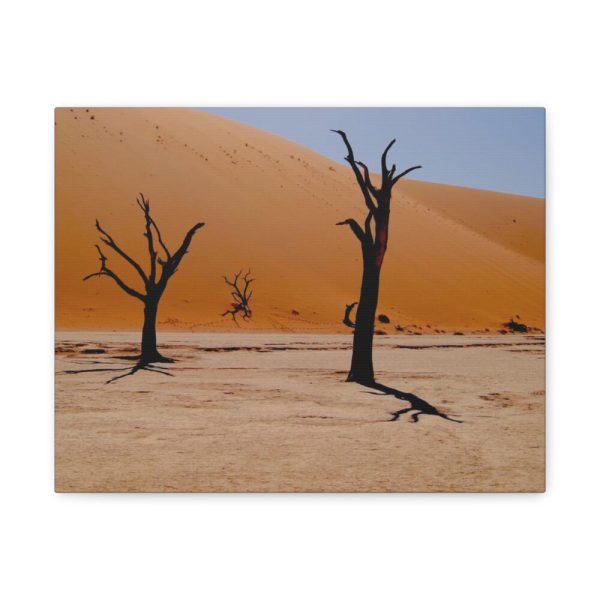 91625.jpg Desolate Trees in the Sandy Desert of Deadvlei Hiking Trail Standard Canvas