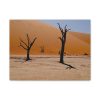 91626.jpg Desolate Trees in the Sandy Desert of Deadvlei Hiking Trail Standard Canvas