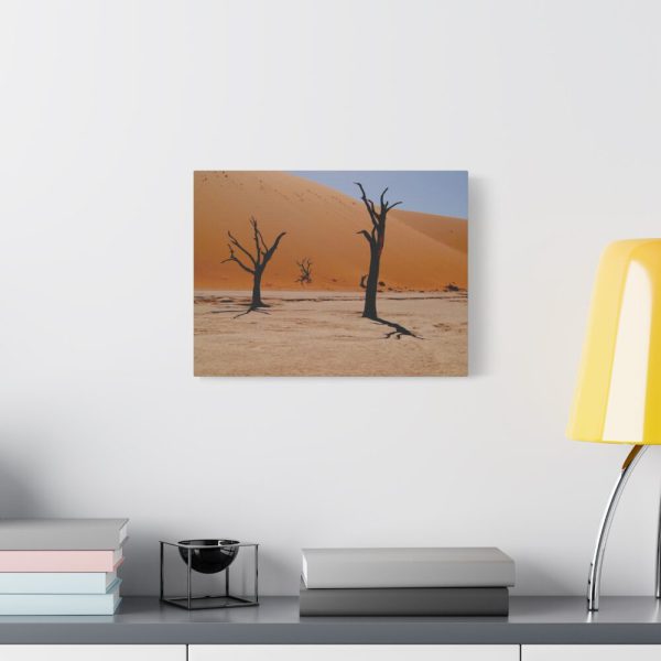 91626-2.jpg Desolate Trees in the Sandy Desert of Deadvlei Hiking Trail Standard Canvas
