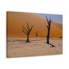 91627-1.jpg Desolate Trees in the Sandy Desert of Deadvlei Hiking Trail Standard Canvas