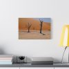 91627-2.jpg Desolate Trees in the Sandy Desert of Deadvlei Hiking Trail Standard Canvas
