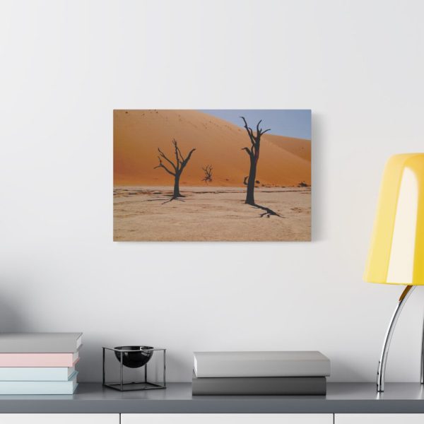 91627-2.jpg Desolate Trees in the Sandy Desert of Deadvlei Hiking Trail Standard Canvas