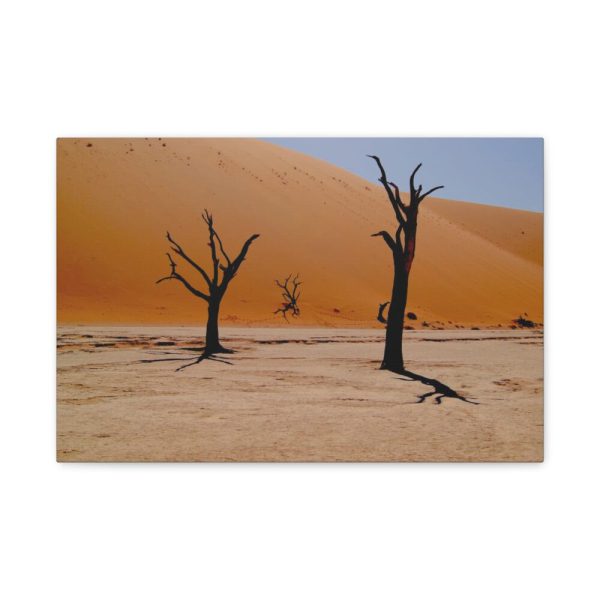 91627.jpg Desolate Trees in the Sandy Desert of Deadvlei Hiking Trail Standard Canvas
