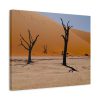 91629-1.jpg Desolate Trees in the Sandy Desert of Deadvlei Hiking Trail Standard Canvas