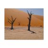 91629.jpg Desolate Trees in the Sandy Desert of Deadvlei Hiking Trail Standard Canvas