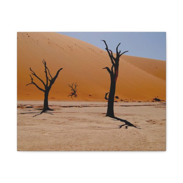 91629.jpg Desolate Trees in the Sandy Desert of Deadvlei Hiking Trail Standard Canvas