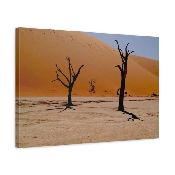 91630-1.jpg Desolate Trees in the Sandy Desert of Deadvlei Hiking Trail Standard Canvas