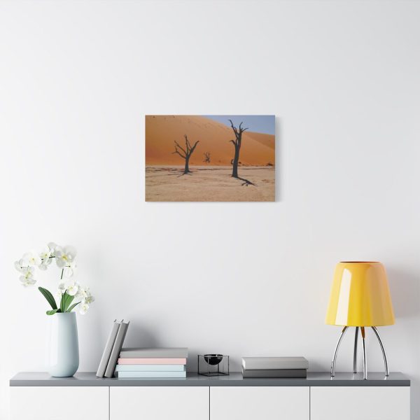 91630-2.jpg Desolate Trees in the Sandy Desert of Deadvlei Hiking Trail Standard Canvas