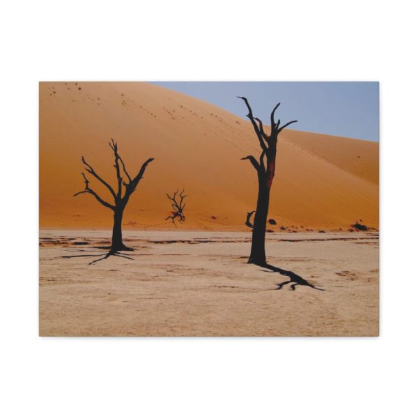 91631.jpg Desolate Trees in the Sandy Desert of Deadvlei Hiking Trail Standard Canvas