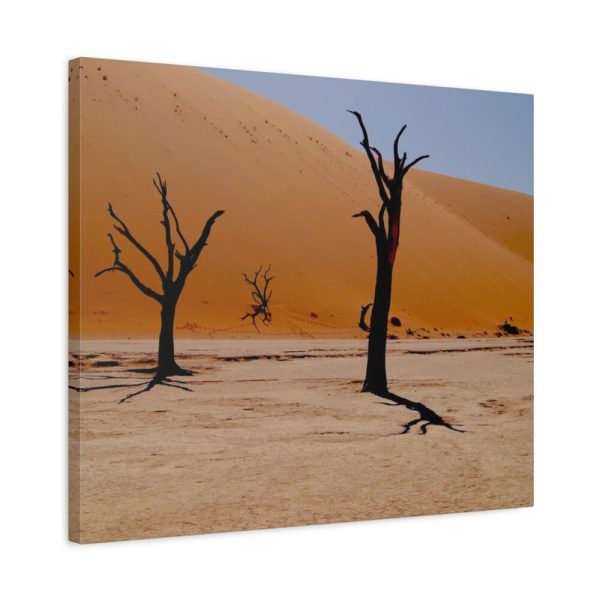 91632-1.jpg Desolate Trees in the Sandy Desert of Deadvlei Hiking Trail Standard Canvas