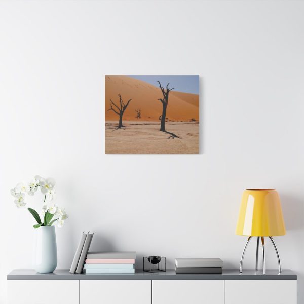91632-2.jpg Desolate Trees in the Sandy Desert of Deadvlei Hiking Trail Standard Canvas