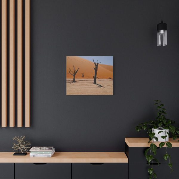 91632-3.jpg Desolate Trees in the Sandy Desert of Deadvlei Hiking Trail Standard Canvas