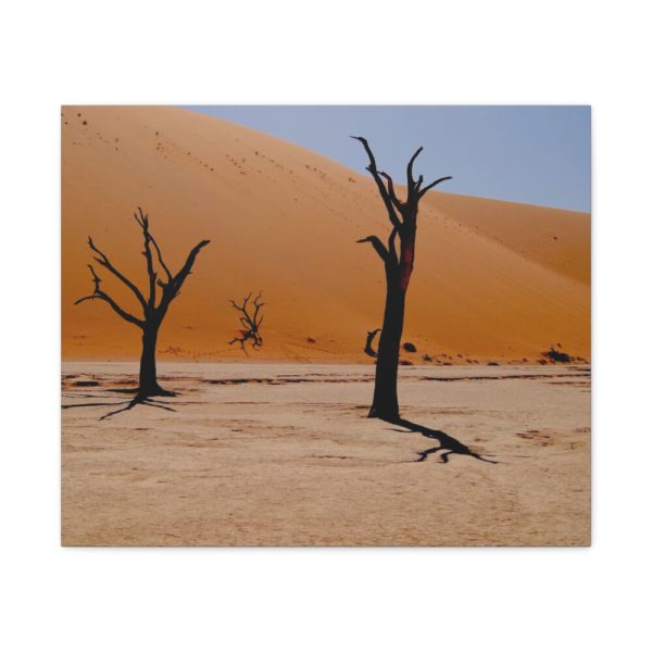 91632.jpg Desolate Trees in the Sandy Desert of Deadvlei Hiking Trail Standard Canvas