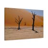 91633-1.jpg Desolate Trees in the Sandy Desert of Deadvlei Hiking Trail Standard Canvas