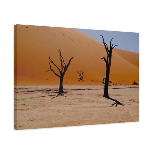 91633-1.jpg Desolate Trees in the Sandy Desert of Deadvlei Hiking Trail Standard Canvas