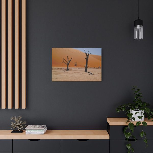 91633-3.jpg Desolate Trees in the Sandy Desert of Deadvlei Hiking Trail Standard Canvas