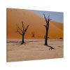 91634-1.jpg Desolate Trees in the Sandy Desert of Deadvlei Hiking Trail Standard Canvas