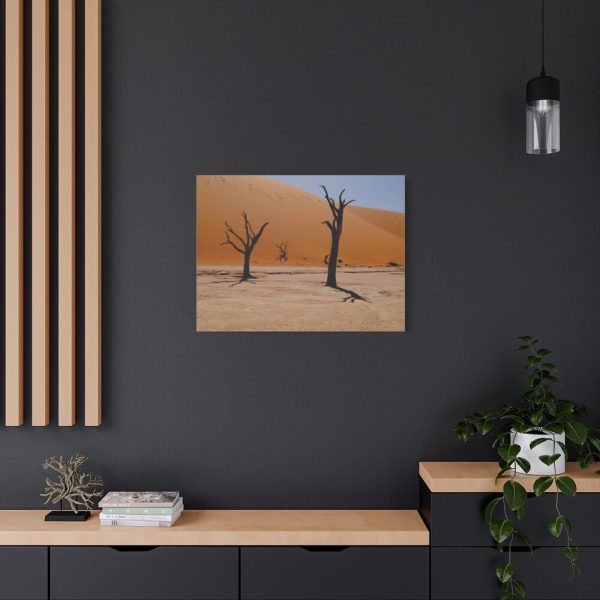 91634-3.jpg Desolate Trees in the Sandy Desert of Deadvlei Hiking Trail Standard Canvas