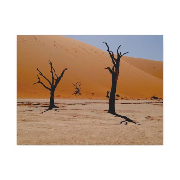91634.jpg Desolate Trees in the Sandy Desert of Deadvlei Hiking Trail Standard Canvas