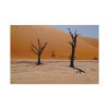 91635.jpg Desolate Trees in the Sandy Desert of Deadvlei Hiking Trail Standard Canvas